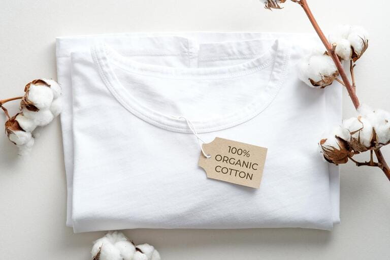 Organic cotton t-shirt with cotton flowers on white background. Flat lay, top view. Eco clothing, sustainable lifestyle, fashion concept.